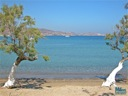 Pollonia Milos - Main Beach 2