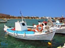 Pollonia Milos - Fishing boats by the pier 1